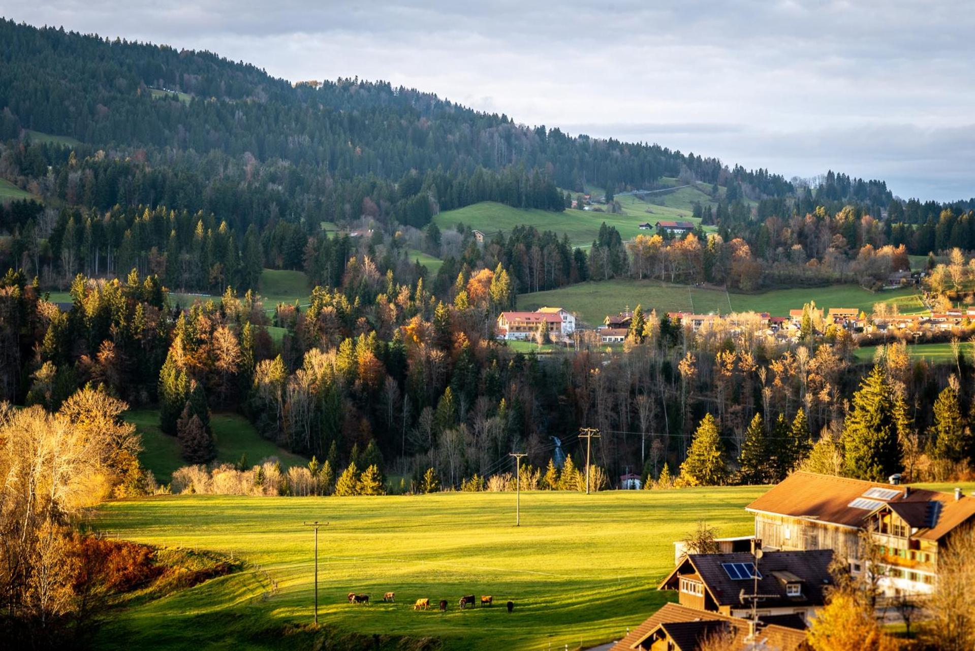 Eibele Chalets Oberstaufen Dış mekan fotoğraf